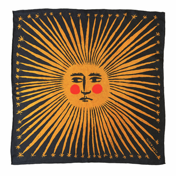 Tabby Booth Hermes Quality 100% Silk Solstice Scarf