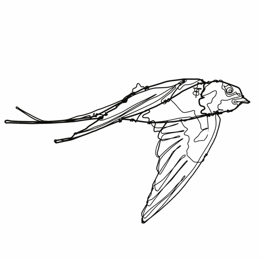 Ben Baker Bird Wire Drawing