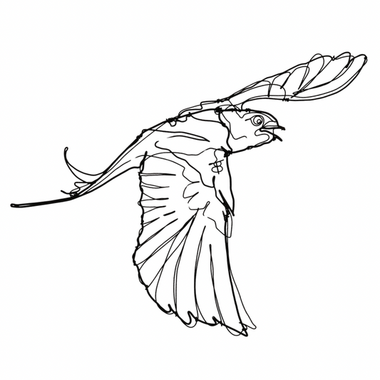 Ben Baker Bird Wire Drawing