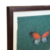 Georgia Parkin-Jones Original Painting on Book Cover • Fire Flight