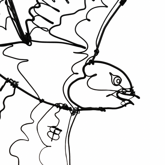 Ben Baker Bird Wire Drawing