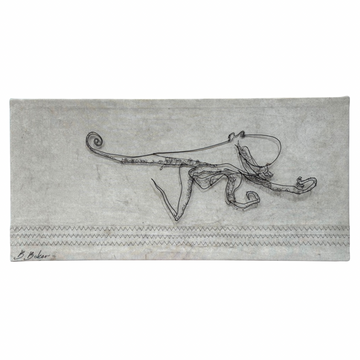 Ben Baker Wire Drawing On Canvas • Octopus