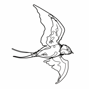 Ben Baker Bird Wire Drawing