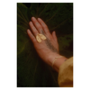 Tabby Booth X Rare Bear Jewellery • 24-Carat Gold Moth Ring