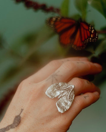 Tabby Booth X Rare Bear Jewellery • Sterling Silver Moth Ring