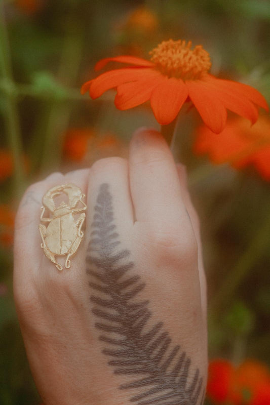 Tabby Booth X Rare Bear Jewellery • Brass Beetle Ring