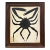 Tabby Booth Original Painting 'SPIDER CRAB’ In Antique Wood Frame