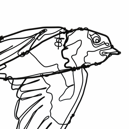 Ben Baker Bird Wire Drawing