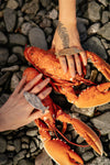 Tabby Booth X Rare Bear Jewellery • 24-Carat Gold Plated Fish Ring
