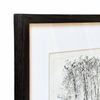 Clementine Neild Original Monotype in Frame • Trebah Sketchbook: Bamboo 4