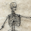 Ben Baker 'Skeleton' Wire Mixed Automata on Canvas