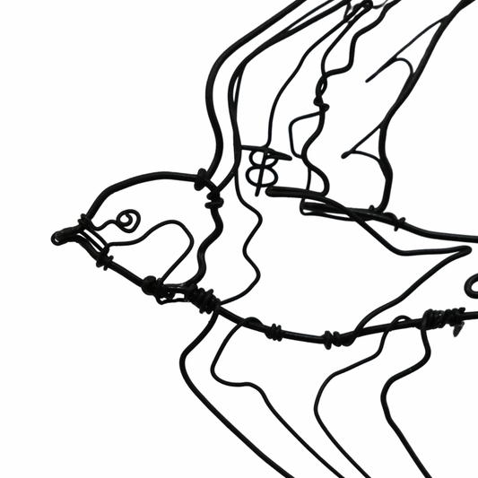 Ben Baker Bird Wire Drawing