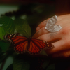Tabby Booth X Rare Bear Jewellery • Sterling Silver Moth Ring