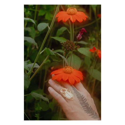 Tabby Booth X Rare Bear Jewellery • Brass Beetle Ring
