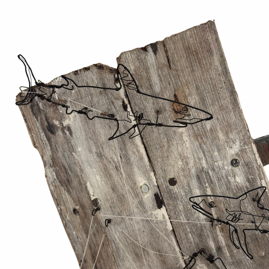 Ben Baker Sharks Wire Drawing Automata