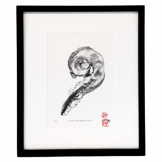 Clementine Neild Original Monotype in Frame • Trebah Sketchbook: Fern 2