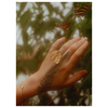 Tabby Booth X Rare Bear Jewellery • 24-Carat Gold Moth Ring