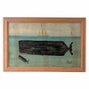 Steve Camps Original Framed Whale Painting