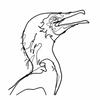 Ben Baker 'Cormorant' Wire Drawing