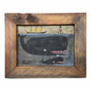 Steve Camps Original Framed Whale Painting