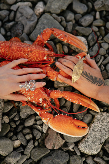 Tabby Booth X Rare Bear Jewellery • 24-Carat Gold Plated Lobster Ring