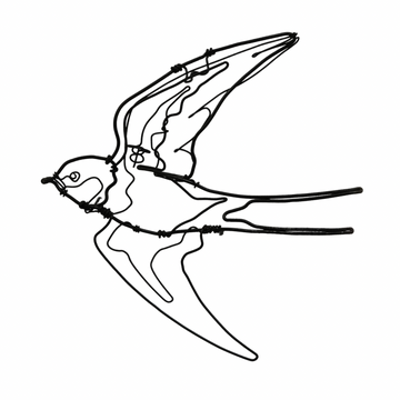 Ben Baker Bird Wire Drawing