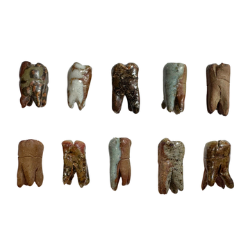 Amelia K Fulton Original Wood-fired Ceramic Teeth
