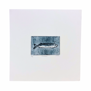 Niamh Spink ‘Mackerel’ Aquatint Etching