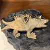 Natasha Ratcliffe Hand Crafted Solid Bronze Creature Wall Hanging