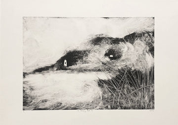 Niamh Spink ‘St Anthony Head 3’ A2 Monotype